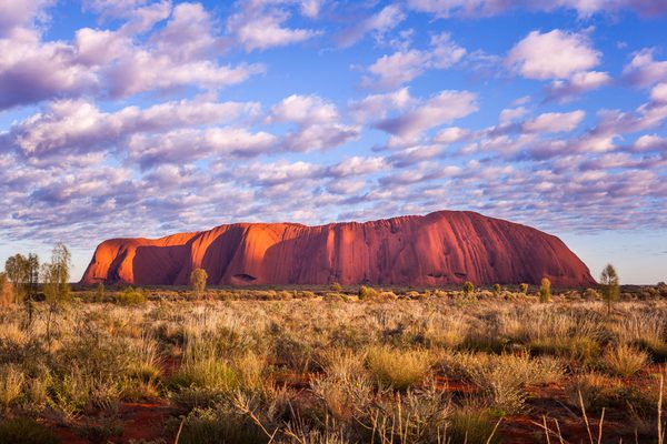 Australia Coverhr 1